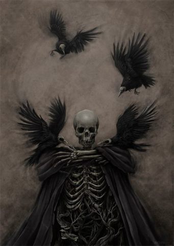 skull crows